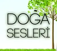 Karışık Sesler – Su Sesi Ormanda Kuş