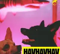 Lvbel C5 – HAVHAVHAV