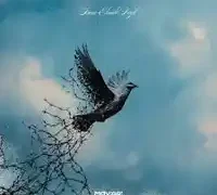 Mavi Gri – İnan Elimde Değil