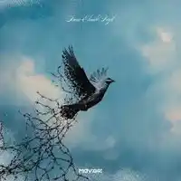 Mavi Gri – İnan Elimde Değil Albüm Kapağı