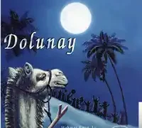 Mehmet Emin Ay – Şu Benim Divane Gönlüm