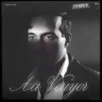 Mert Demir – Seni Seviyorum (Live At Zorlu) Albüm Kapağı