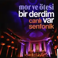 Mor Ve Ötesi – Bir Derdim Var (8D) Albüm Kapağı