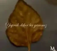 Mt – Bozkurt Ordusu ft. Tuğba Aksoy