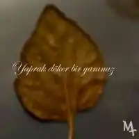 Mt – Zafer Bismillah Albüm Kapağı