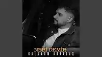 Nebi Demir – Kalamam Arkadaş Albüm Kapağı