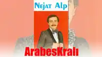 Nejat Alp – Sensiz Yaşamaya Alışamadım Albüm Kapağı