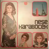 Neşe Karaböcek – Elbet Birgün Buluşacağız Albüm Kapağı