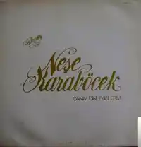 Neşe Karaböcek – Günün Birinde Albüm Kapağı