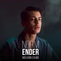 Norm Ender – Kaktüs Albüm Kapağı