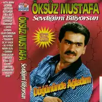 Öksüz Mustafa – Kader Bana Düşman Oldu Albüm Kapağı