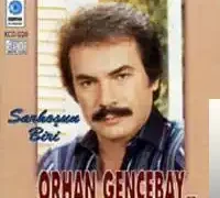 Orhan Gencebay – Dertler Benim Olsun