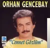 Orhan Gencebay – Sevenler Mesut Olmaz Albüm Kapağı