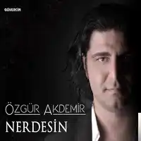 Özgür Akdemir – Leyle Albüm Kapağı