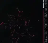 Perdenin Ardındakiler – Ankarayla Bozuşuruz