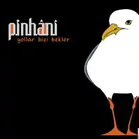 Pinhani – Kefen Giydim Albüm Kapağı