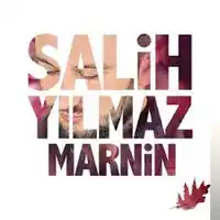 Salih Yılmaz – Şelale Albüm Kapağı