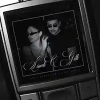 Samet Kardeşler – Şimdi o Gitti ft Sıla Şahin Albüm Kapağı