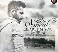 Sancak – Gözümden Düştüğün An