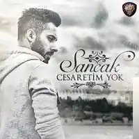 Sancak – Gözümden Düştüğün An Albüm Kapağı