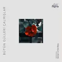 Şanışer – Aşk Şarkısı ft Ayda (Live) Albüm Kapağı