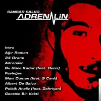 Sansar Salvo – Ağır Roman Albüm Kapağı