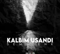 Semicenk – Kalbim Usandı