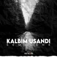 Semicenk – Kalbim Usandı Albüm Kapağı