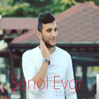 Şenol Evgi – Bitiyorum Her Gülüşünde (Tiktok) Albüm Kapağı