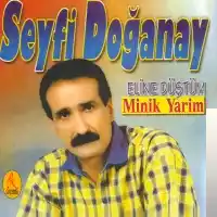 Seyfi Doğanay – Abi Dedi Albüm Kapağı