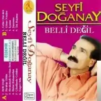 Seyfi Doğanay – Bacımsın Albüm Kapağı