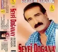 Seyfi Doğanay – Sebebim Sensin