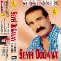 Seyfi Doğanay – Sebebim Sensin Albüm Kapağı