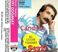 Seyfi Doğanay – Verin Sevdiğimi