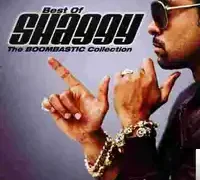 Shaggy – Hey Sexy Lady
