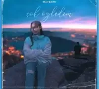 Sıla Şahin – Sevdan İle