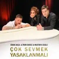 Sinan Akçıl – Çok Sevmek Yasaklanmalı ft. İrem Derici & Mustafa Ceceli Albüm Kapağı