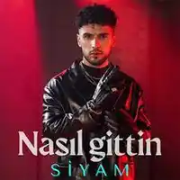 Siyam – Nasıl Gittin Albüm Kapağı