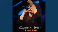 Songül Güner – Dağlara mı Yazdın Albüm Kapağı