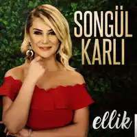 Songül Karlı – Şu Dağlarda Kar Olsaydım Albüm Kapağı