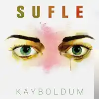 Sufle – Pus Albüm Kapağı