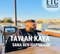 Taylan Kaya – Gelme Sakın