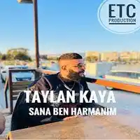 Taylan Kaya – Gelme Sakın Albüm Kapağı