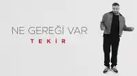Tekir – Ne Gereği Var Albüm Kapağı