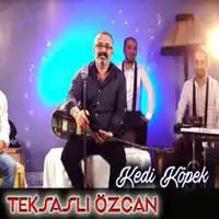 Teksaslı Özcan – Sen Olmayınca Albüm Kapağı