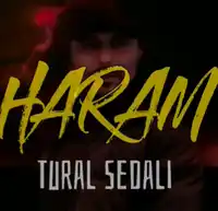 Tural Sedali – Hazırmısın Abi (Elsen Pro Remix) Albüm Kapağı