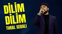Tural Sedali – Unutdum Artıq