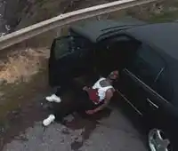 Uzi – Nedenini Sorma