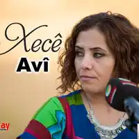 Xece – Avi Albüm Kapağı