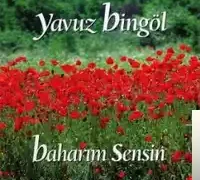 Yavuz Bingöl – Ağlama Yar